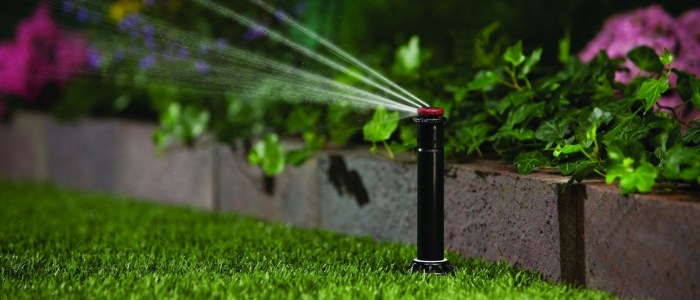 Impact Sprinkler Vs Rotating (rotor) Sprinkler: Which Is Best? » Best 