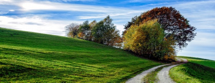 How to Grow Grass on a Steep Hill