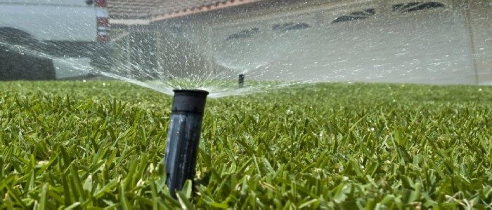 When to Stop Watering New Grass Seed